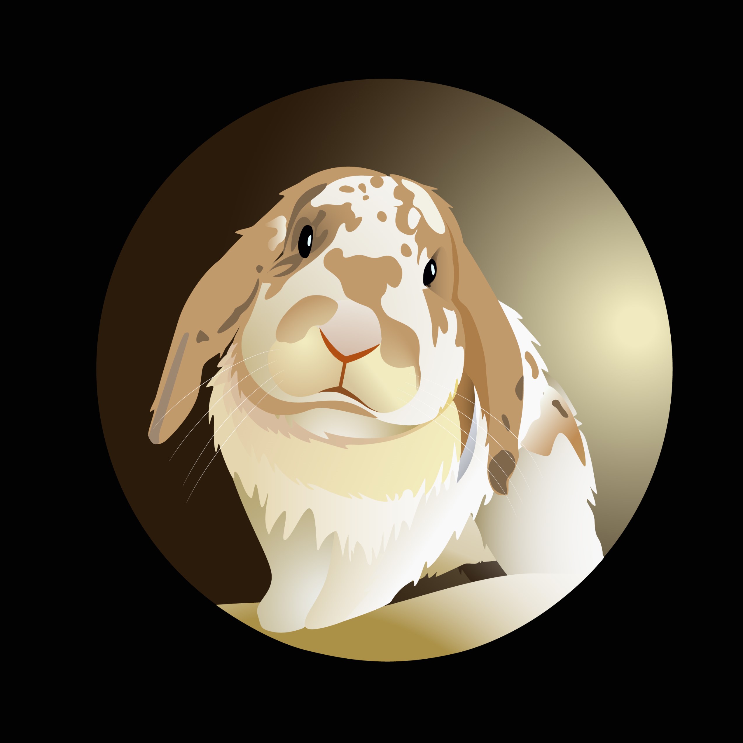 Vector pet portrait of Frodo the bunny